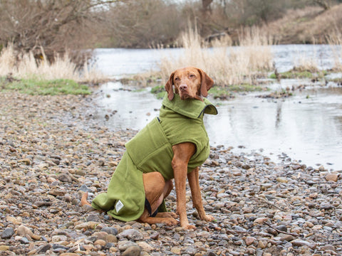Green Perfectly Practical Dog Drying Coat
