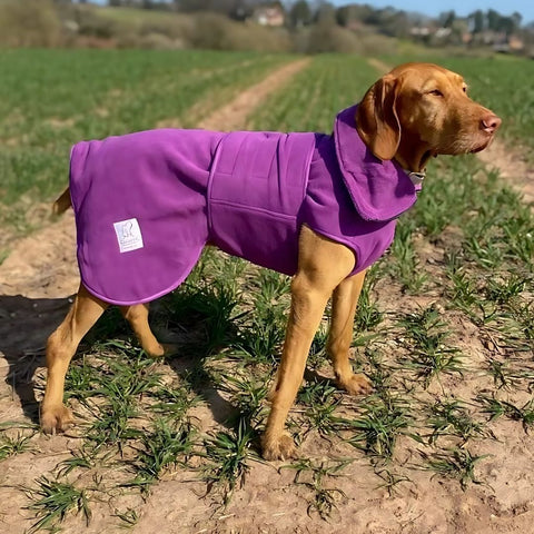Teal Superior Perfectly Practical Dog Drying Coat