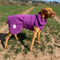 Teal Superior Perfectly Practical Dog Drying Coat