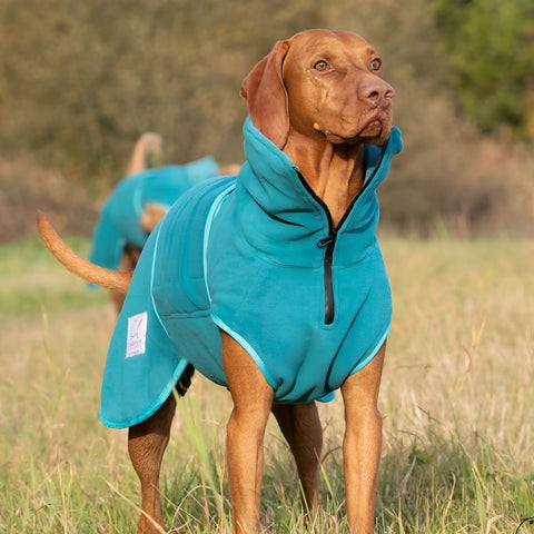Teal Superior Perfectly Practical Dog Drying Coat