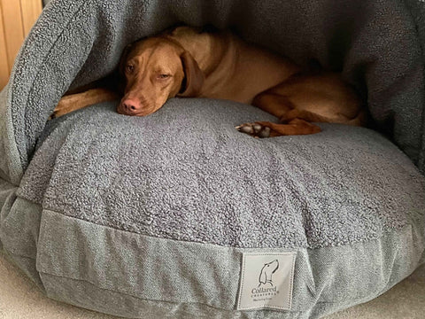 Grey Luxury Dog Cave Bed With Removable Firm Hood