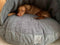 Grey Luxury Dog Cave Bed With Removable Firm Hood