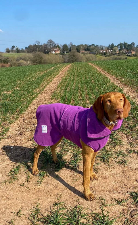 Teal Superior Perfectly Practical Dog Drying Coat