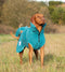 Teal Superior Perfectly Practical Dog Drying Coat