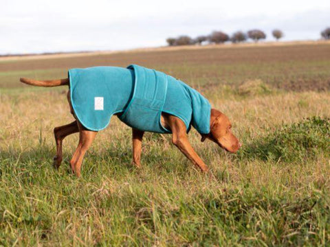 Teal Superior Perfectly Practical Dog Drying Coat