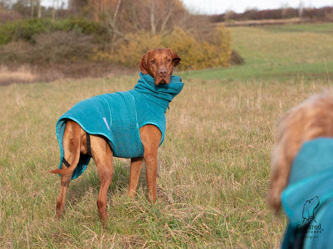 Teal Superior Perfectly Practical Dog Drying Coat