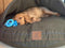 Green Tweed Luxury Dog Cave Bed With Removable Firm Hood
