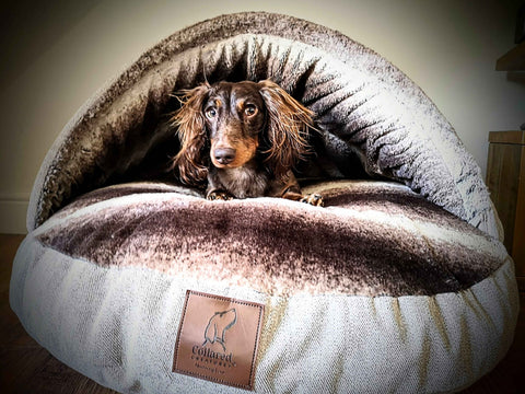 Beige Luxury Dog Cave Bed with removable Firm hood