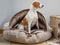 Large Beige Luxury Dog Cave Bed with removable Firm hood
