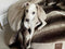 Beige Luxury Dog Cave Bed with removable Firm hood