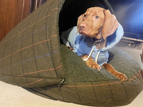 Green Tweed Luxury Dog Cave Bed With Removable Firm Hood