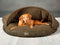 Green Tweed Luxury Dog Cave Bed With Removable Firm Hood