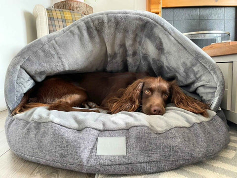 Grey Luxury Dog Cave Bed With Removable Firm Hood