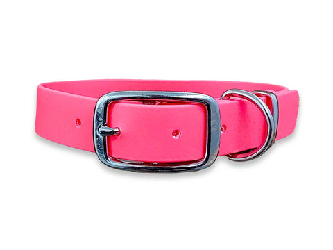 Neon Pink Waterproof Biothane Buckle Dog Collar