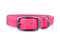 Neon Pink Waterproof Biothane Buckle Dog Collar