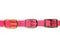 Neon Pink Waterproof Biothane Buckle Dog Collar