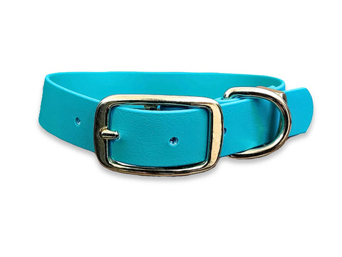 Teal Waterproof Biothane Buckle Dog Collar