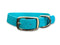 Teal Waterproof Biothane Buckle Dog Collar